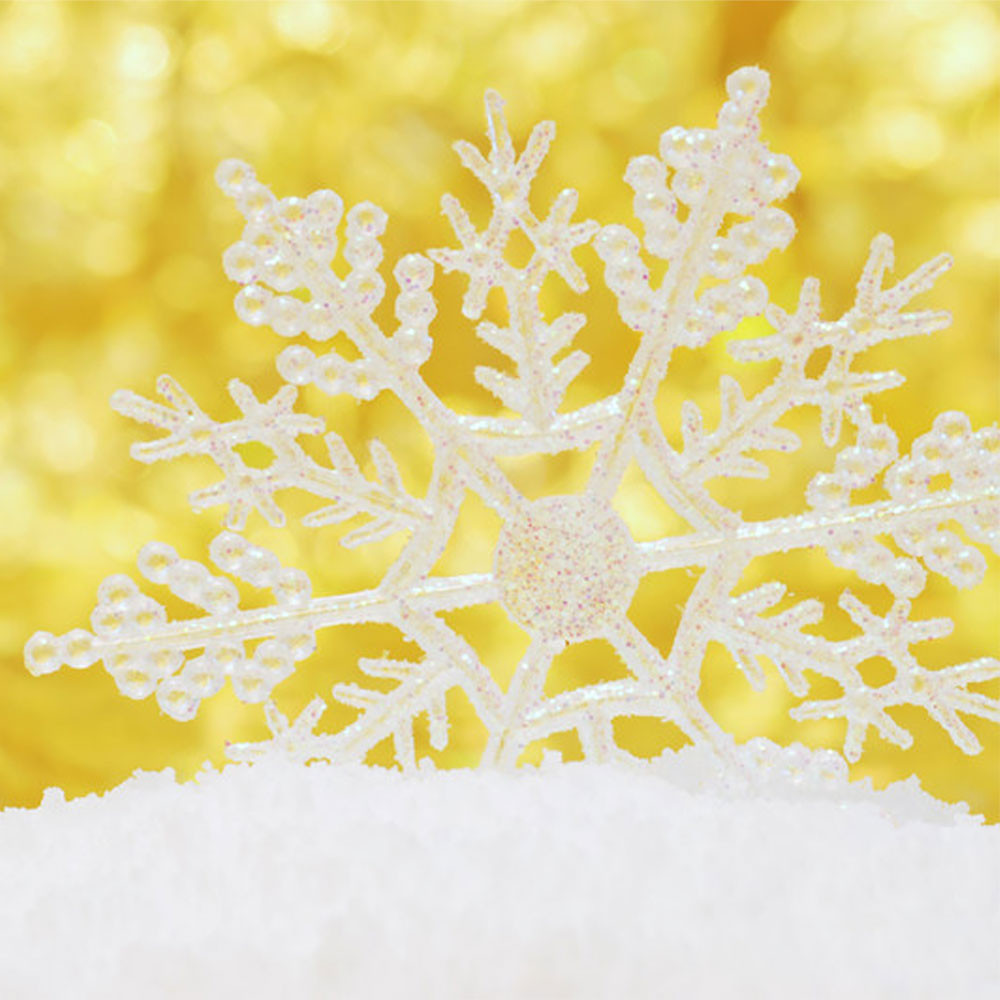 Vanilla Snowflake (BBW type) Fragrance Oil New York Scent