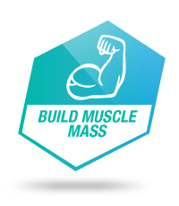 build-more-muscle-mass.gif