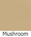 mushroom-lsk-1.jpg
