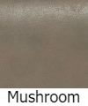 mushroom-vivalift.jpg
