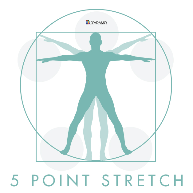 5 Point Stretch