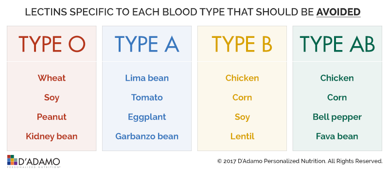 o negative blood type diet lectins