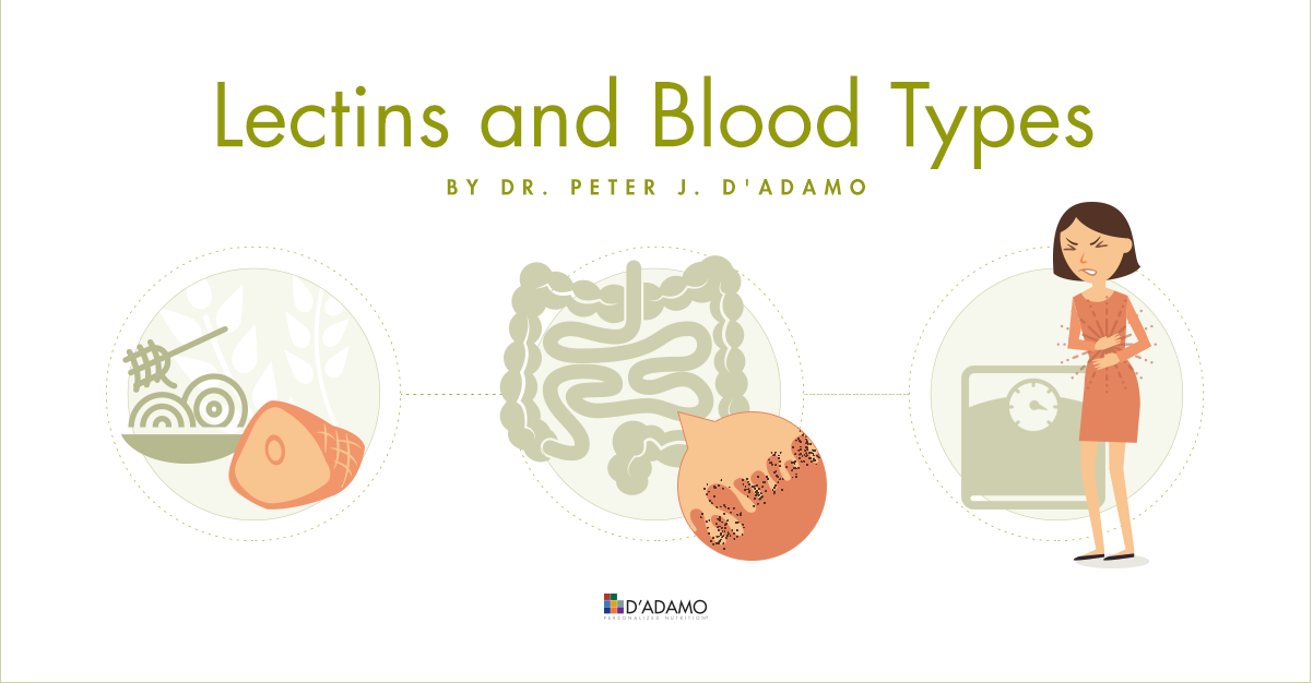 o negative blood type diet lectins