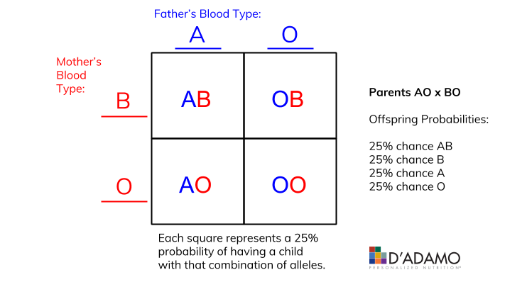 Father Mother Blood Group Chart