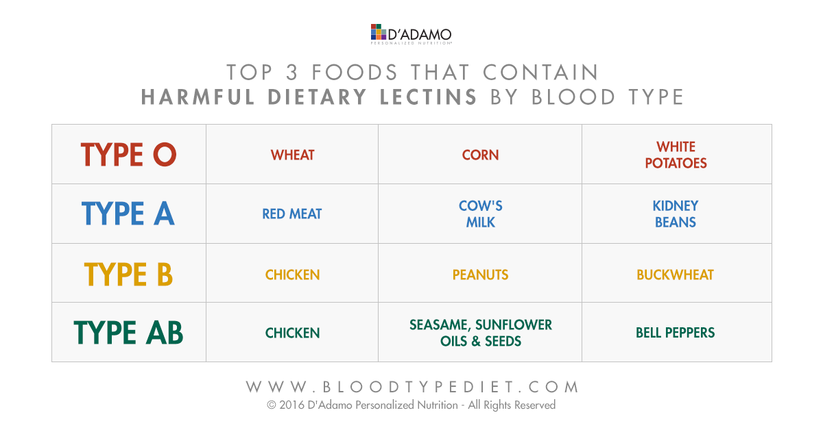 o negative blood type diet lectins