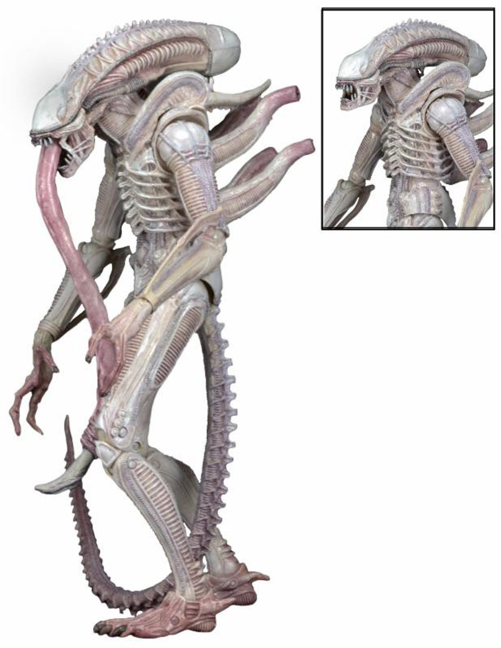 NECA Aliens Series 9 Xenomorph (Albino Drone) Action Figure
