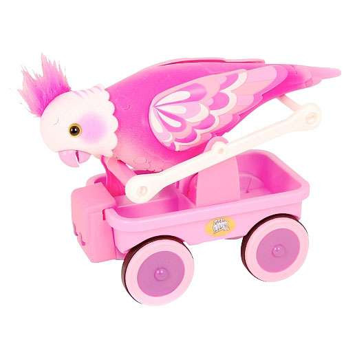 Little Live Pets Cleverkeet Playset Pink Moose Toys - ToyWiz