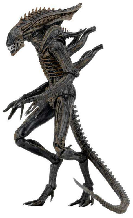 NECA Aliens Series 11 Xenomorph Defiance 9 Action Figure Dark Horse ...