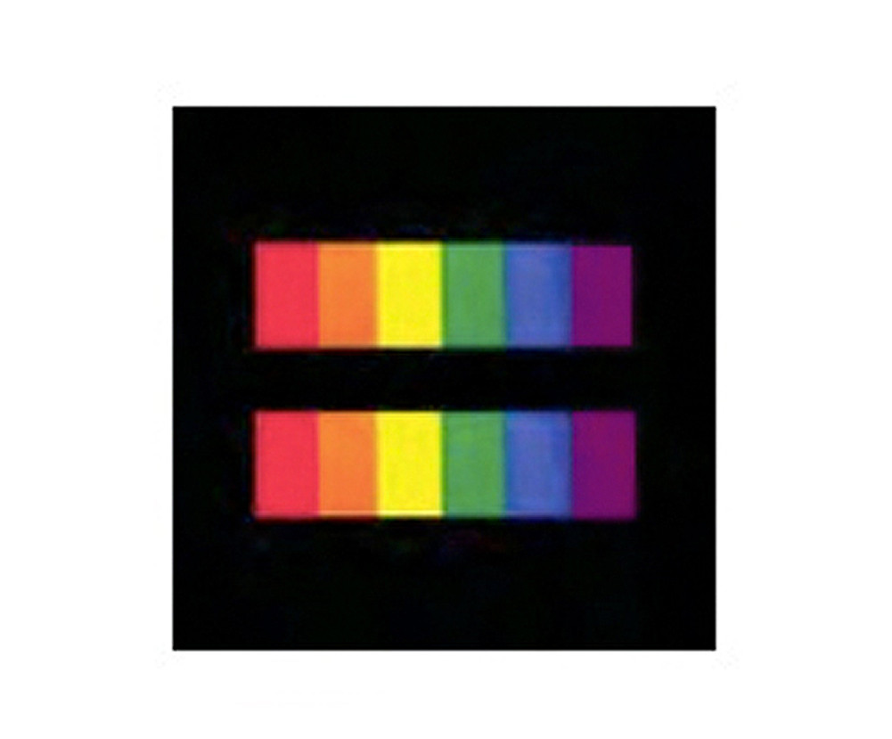 rainbow gay pride equality