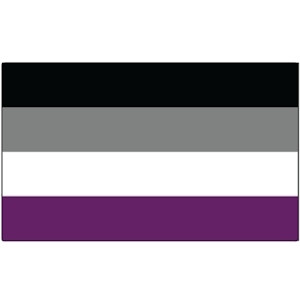 Asexual Flag Pride - Rectangle Car Bumper Sticker (3x5 inches)