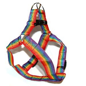 Gay Pride Rainbow Pet Harness (cats / Small Dogs) - Lgbt Gay And Lesbian Pride Pet Accessories