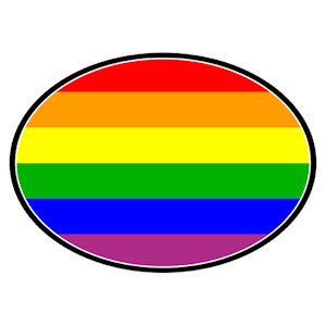 Full Rainbow Oval Mini Car Magnet - Lgbt Gay And Lesbian Pride Decal