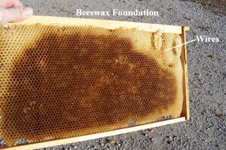 Beekeeping Honeycomb Foundation Wax Frames Honey Hive Equipment Tool Durable 