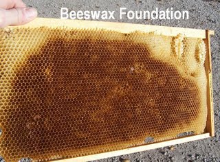 Beeswax foundation