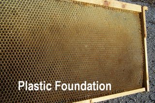 Plastic Foundation