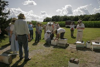 Beekeepers Near Hives