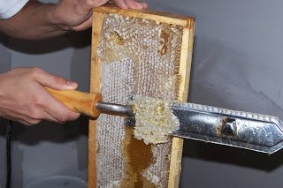 A Frame Of Honey