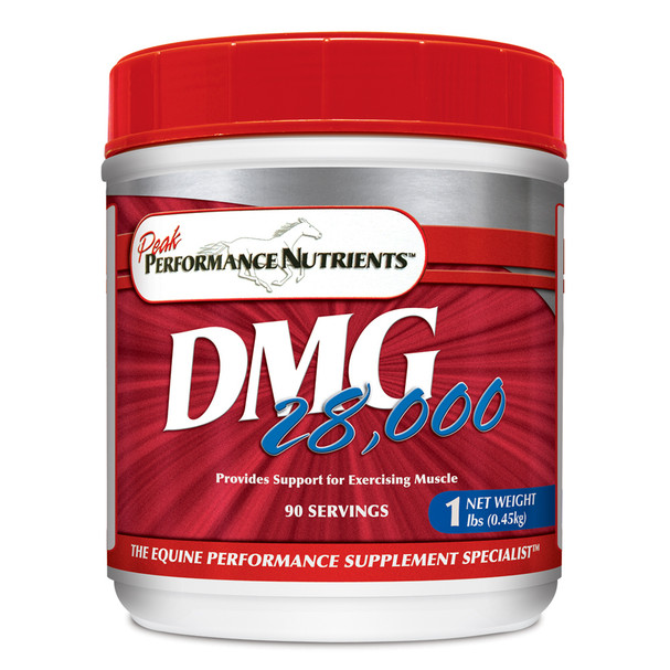 dmg supplement for horses weight