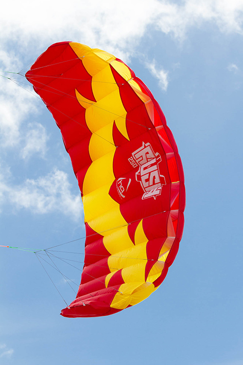 Trainer Kite for Kitesurfing 2.5m High Quality Red Kite FreeShip+Tracking 
