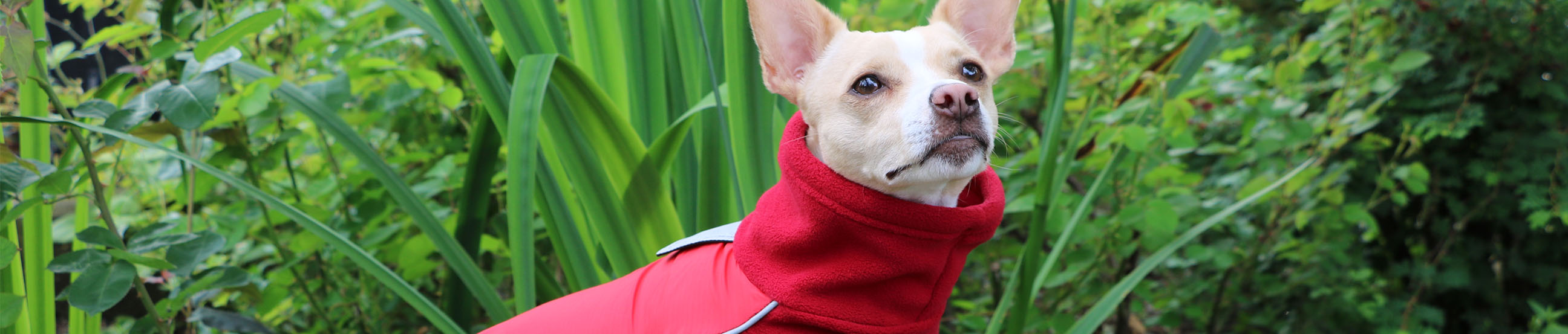 Quality dog coats, waterproof outdoor gear for active dogs. Canadian