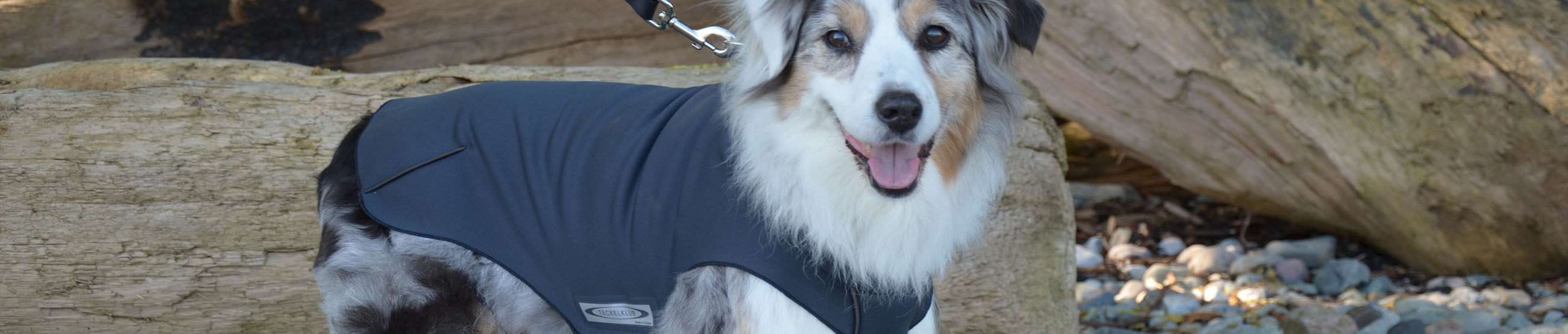 Quality dog coats, waterproof outdoor gear for active dogs. Canadian