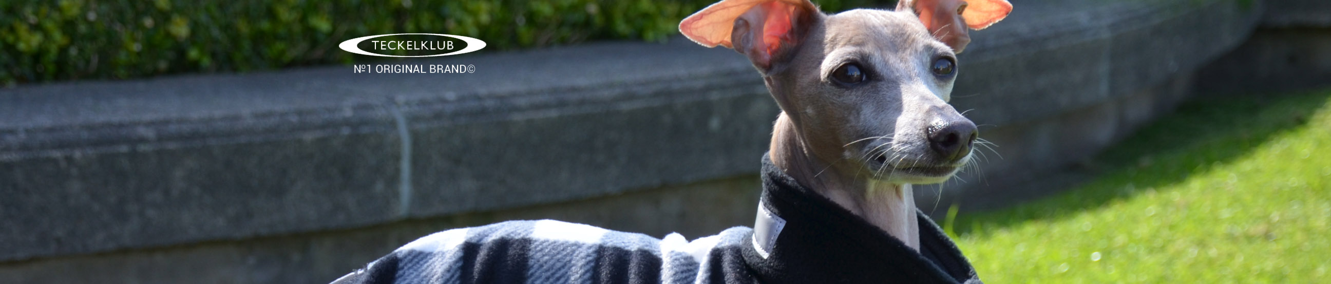 Quality dog coats, waterproof outdoor gear for active dogs. Canadian