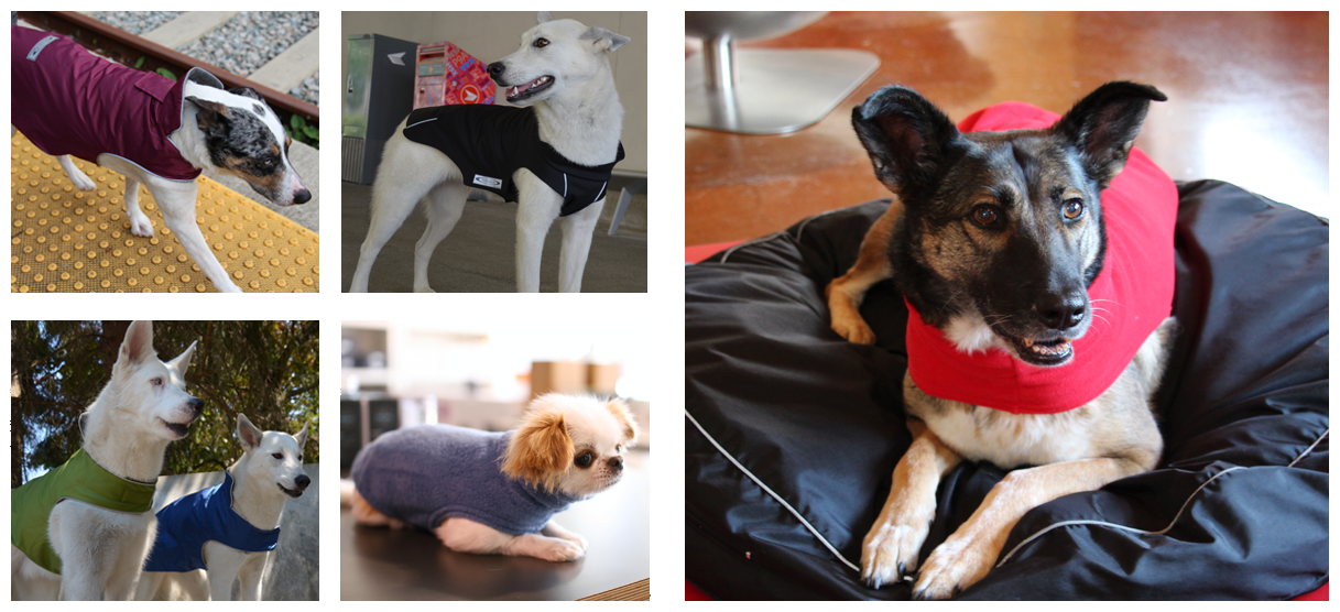 Best Quality Dog Coats and Dog Beds and Organic Dog Products Dogs love Teckelklub top quality dog coats around the world