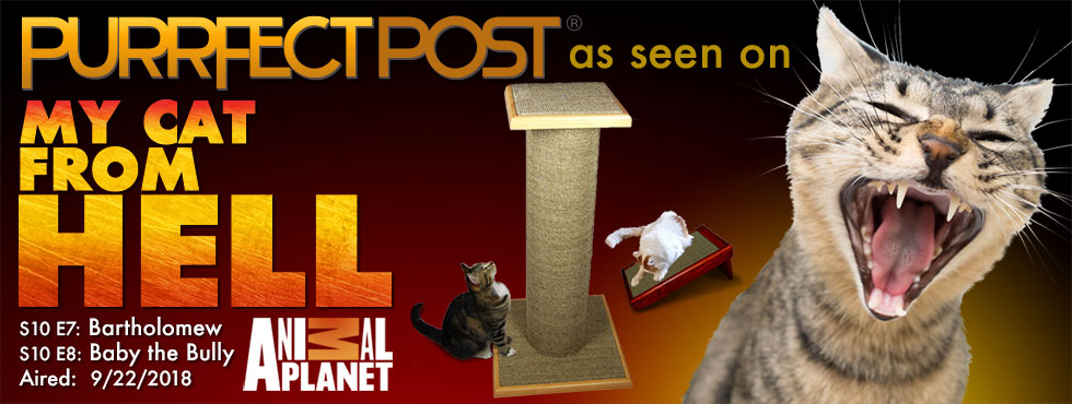Look for the Purrfect Post on Cat From Hell on Animal Planet