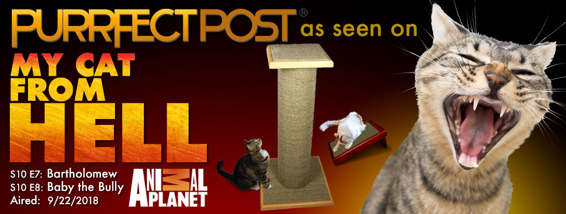Purrfect Post as seen on Cat From Hell on Animal Planet 9/22/18