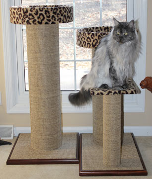 Cat condos are great for lounging and perching.