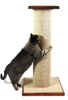 A scratching post best sale