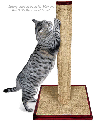 Strong cat outlet scratching post