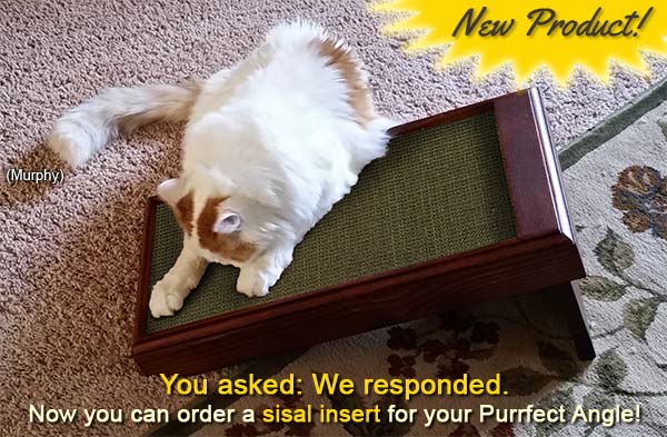 You asked, we responded. Now you can order a sisal insert for your Purrfect Angle.