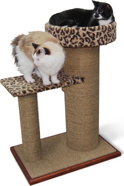 How to keep cats from scratching deck posts hotsell