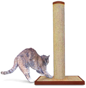 Sandarella Roo loves to scratch on the premium sisal scratching post