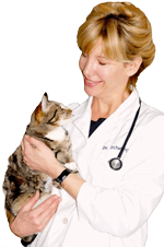 Dr. Christianne Schelling designed the Purrfect Angle for her cats