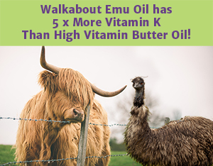 Take Walkabout Emu Oil – Supplement With the Most Vitamin K A hairy cow looking over a fence at an Emu with the words "Walkabout Emu Oil has 5 x more Vitamin K Than high Vitamin Butter Oil!".