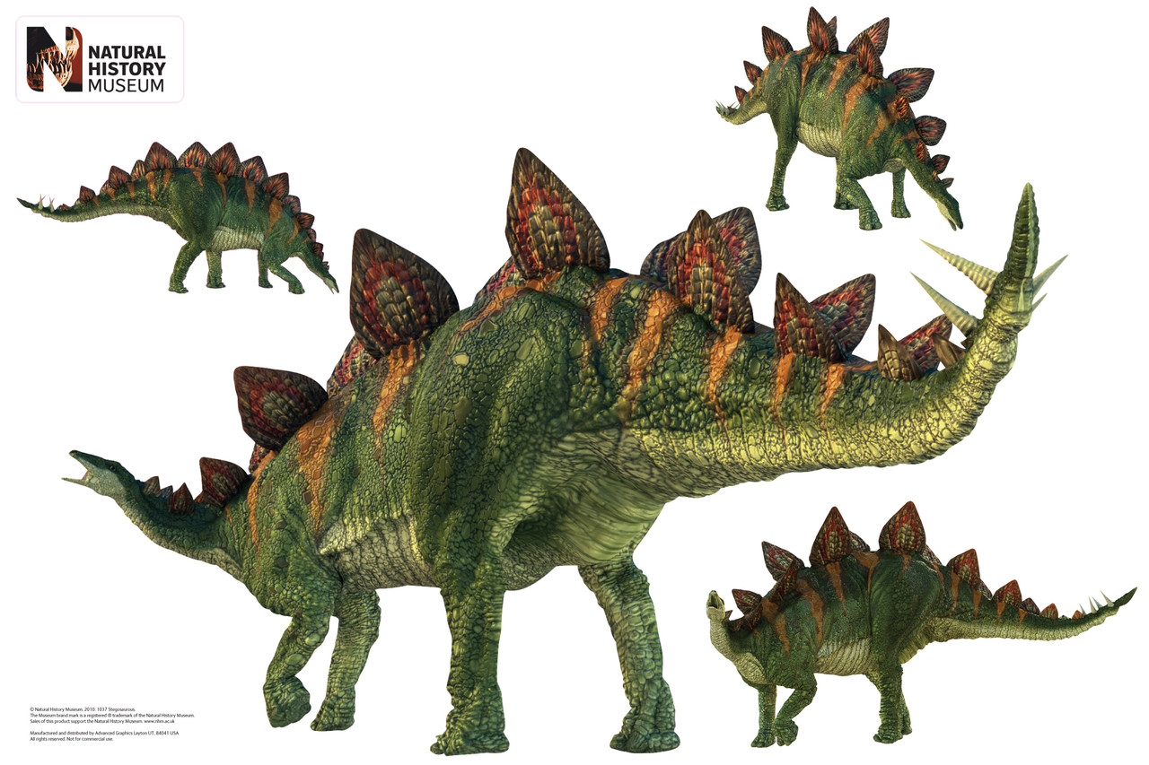 Life-size Stegosaurus Group Wall Decal