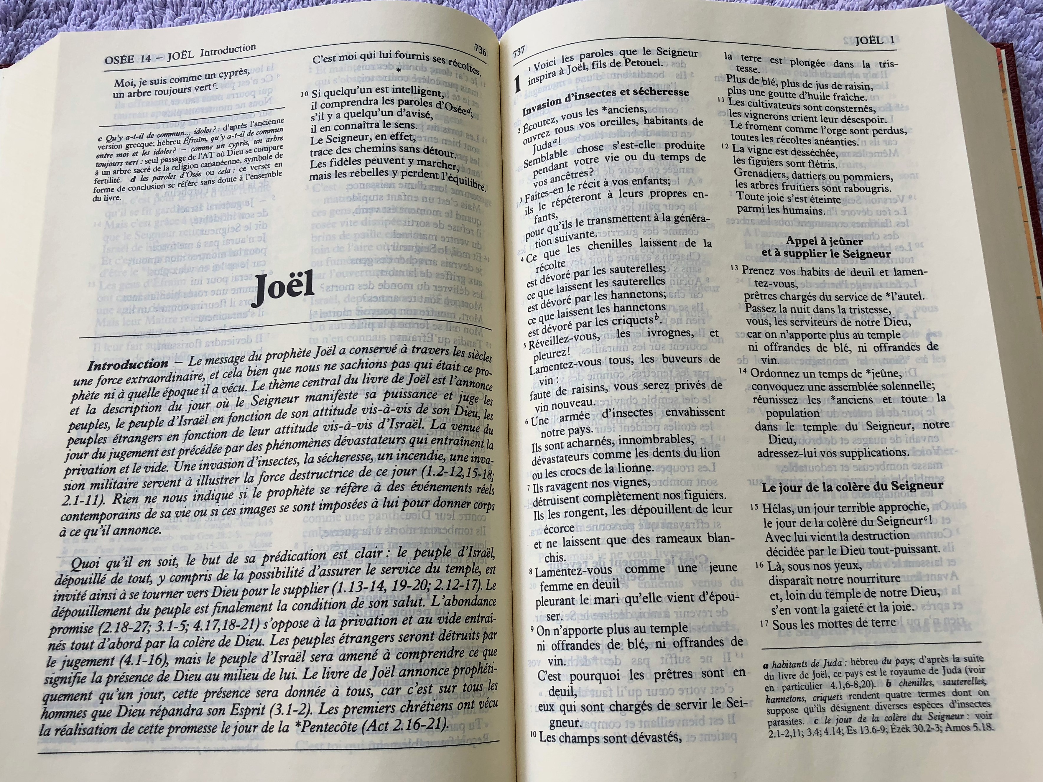 french-bible-1994-print-fch063-9-.jpg