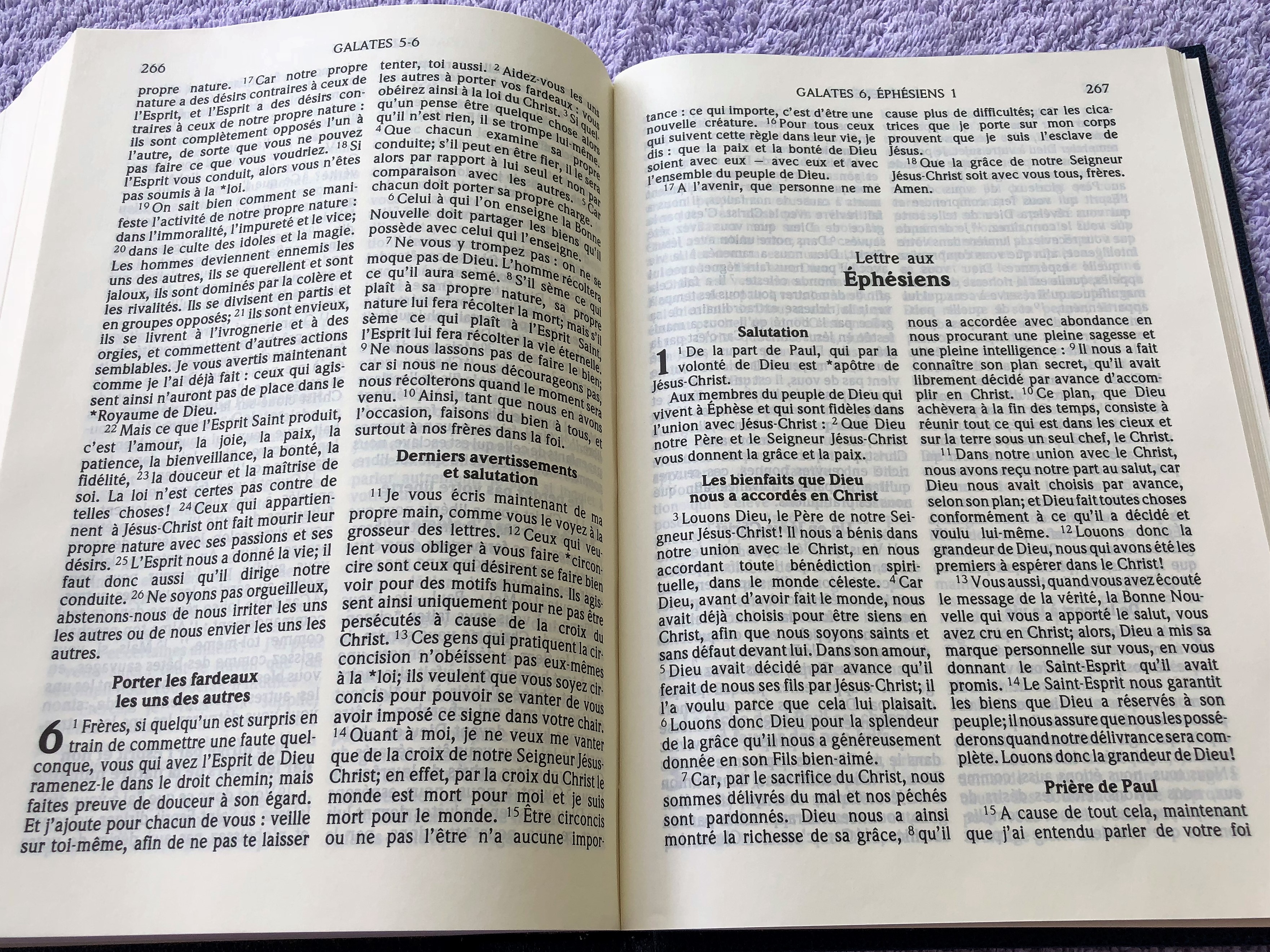 french-bible-large-h83-16-.jpg