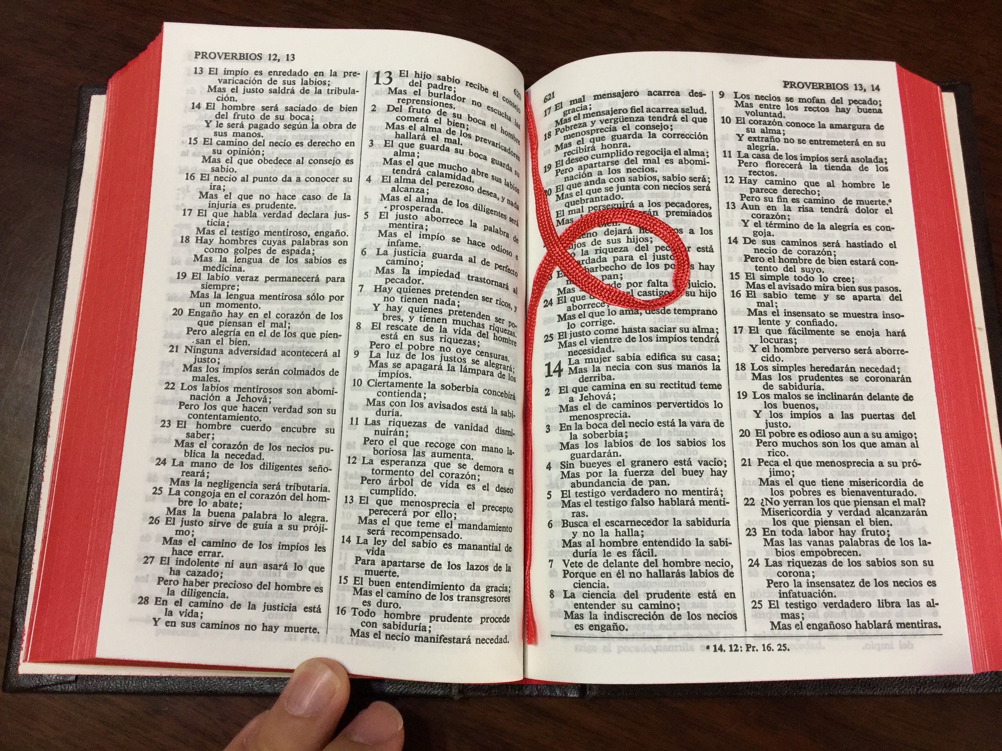 spanish-bible-la-santa-biblia-antiguo-y-nuevo-testamento-9-.jpg