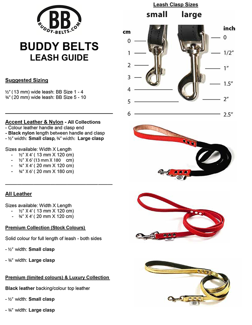 buddy belt leash