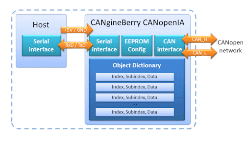 cangineberry-function-diagram.png