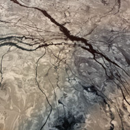 White epoxy White epoxy