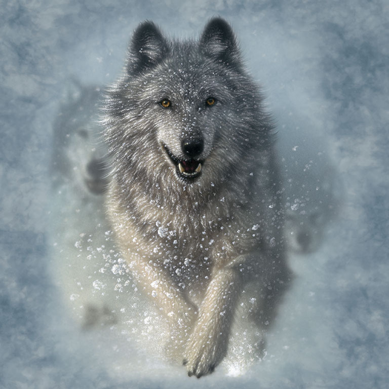 The mountain 3d animal t shirts The mountain 3d animal t shirts