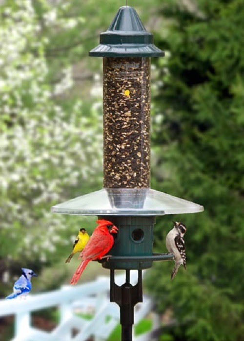 brome squirrel buster plus squirrel proof bird feeder with