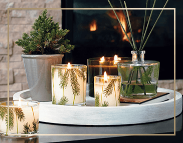Thymes Frasier Fir Heritage Collection | James Anthony Collection
