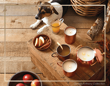 Thymes Simmered Cider Collection | James Anthony Collection