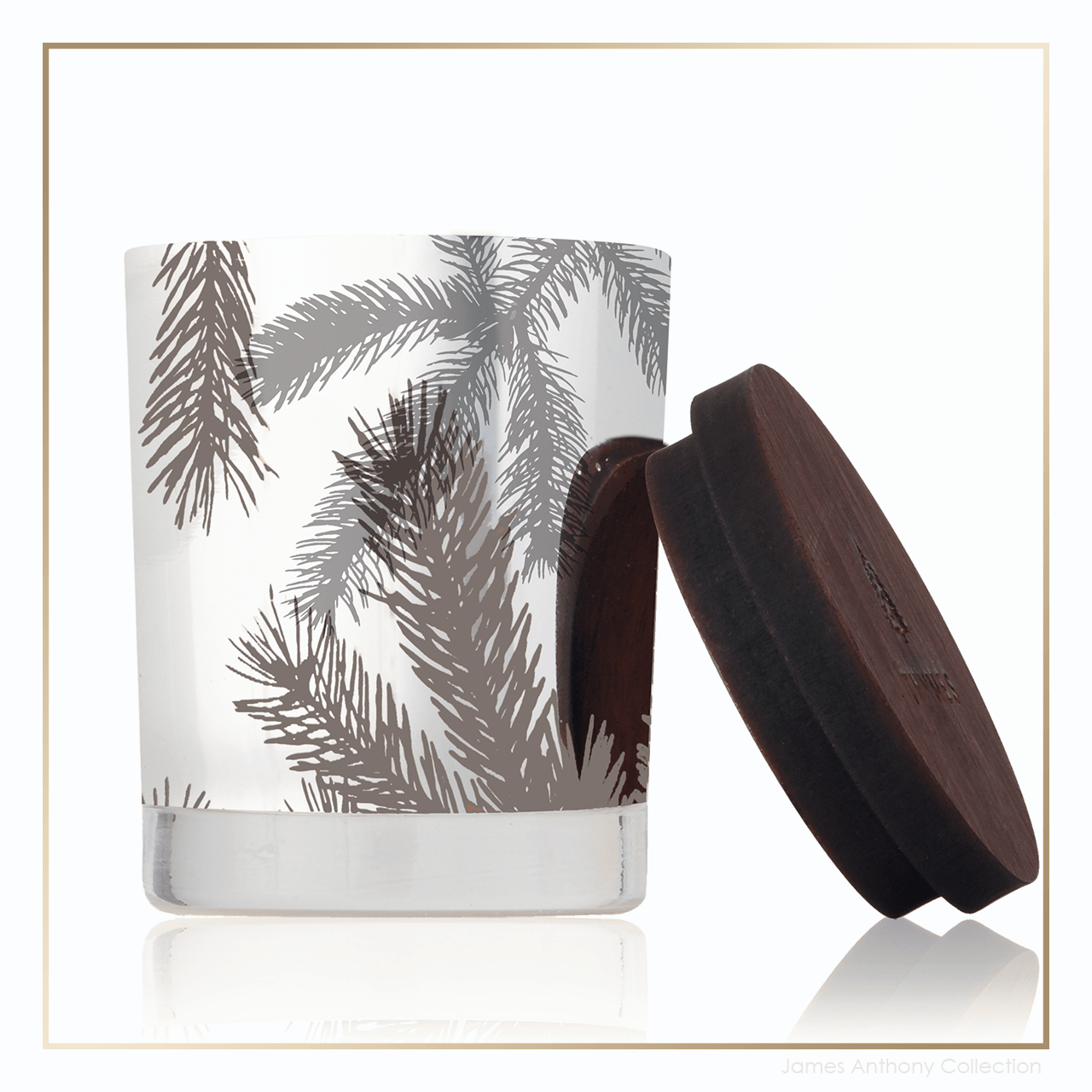 Thymes Frasier Fir Statement Collection Pine Needle Candle James