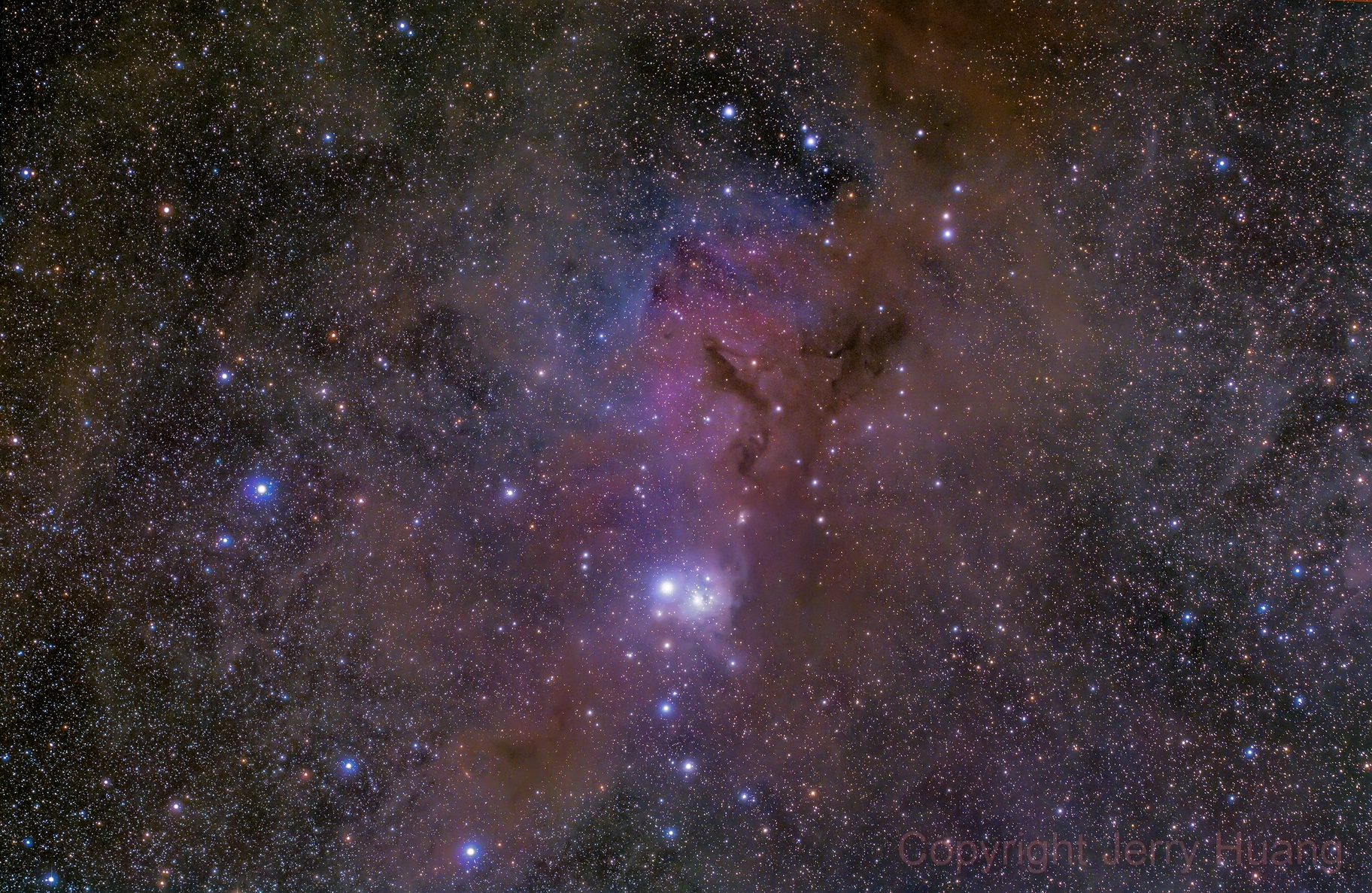 star71-ii-jerry-huang-ic348.jpg